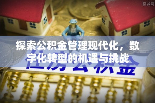 博尔塔拉蒙古探索公积金管理现代化，数字化转型的机遇与挑战