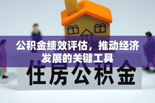 博尔塔拉蒙古公积金绩效评估，推动经济发展的关键工具