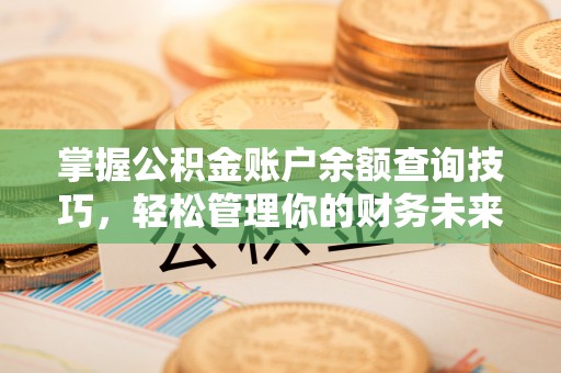 博尔塔拉蒙古掌握公积金账户余额查询技巧，轻松管理你的财务未来