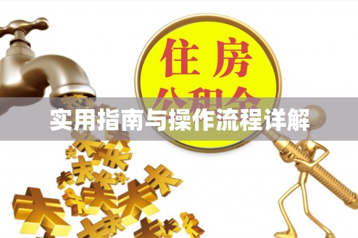 博尔塔拉蒙古实用指南与操作流程详解