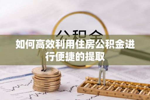 博尔塔拉蒙古如何高效利用住房公积金进行便捷的提取